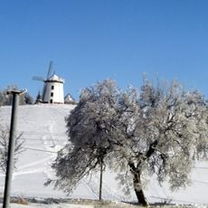 Windmill in Gostków