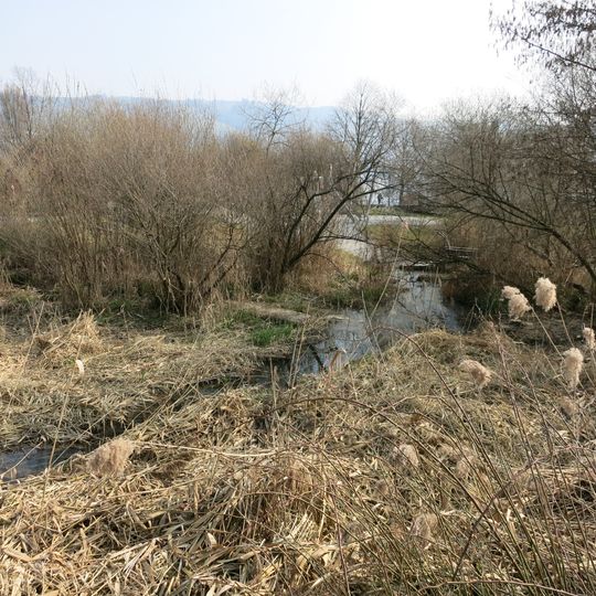 Schützenmatt/Schutzengel, Jungsteinzeitliche Seeufersiedlungen, Chamerstrasse