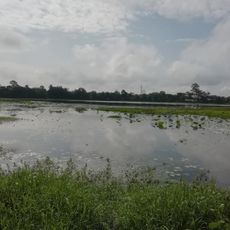 Borpatra Tank
