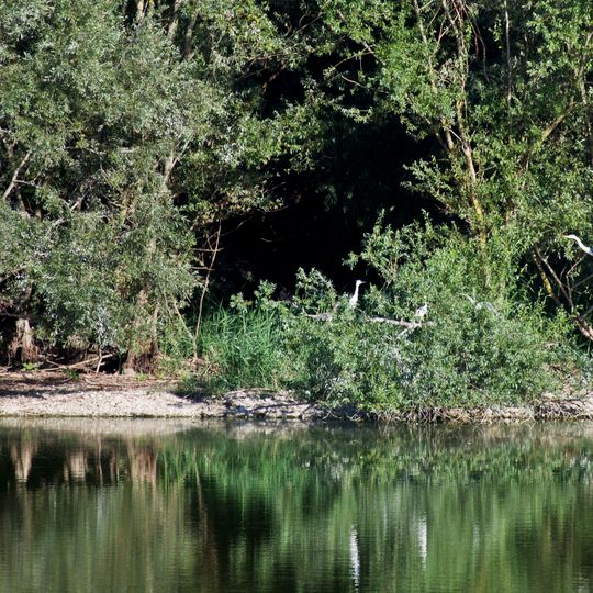 Riserva naturale regionale orientata di Ripa Bianca