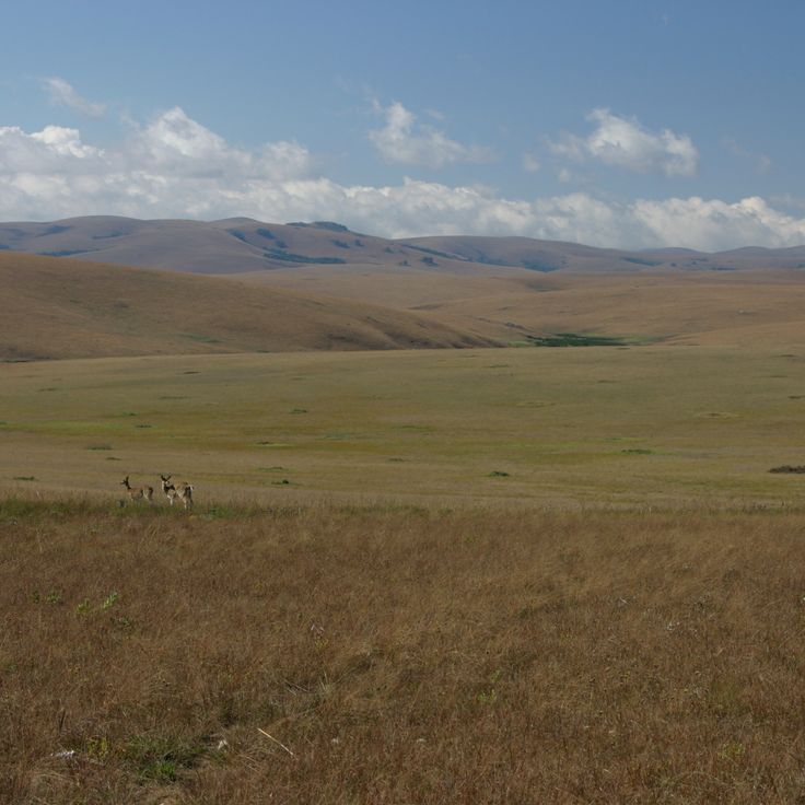 Parque Nacional Nyika