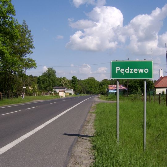 Pędzewo