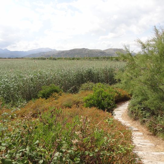 Parque natural de s'Albufera de Mallorca