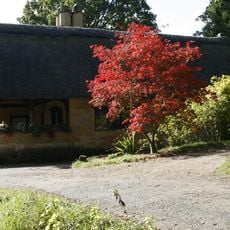 The Thatched Cottage, Batsford Park Arboretum