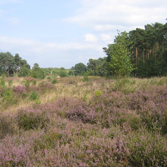 Wahner Heide