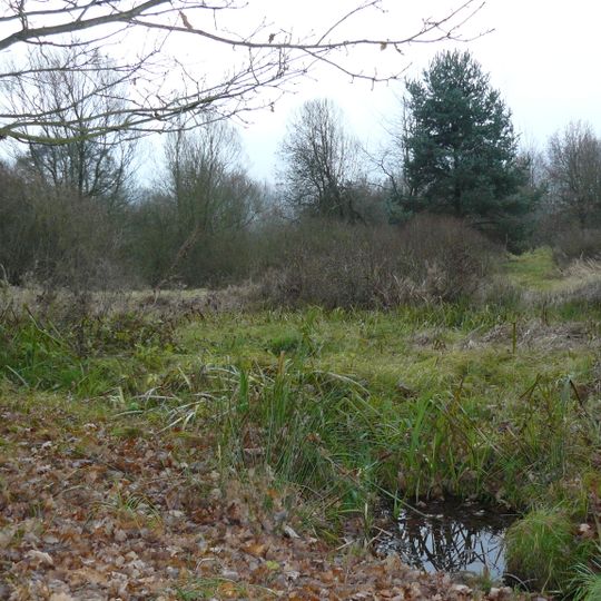 Studánky u Cerhovic