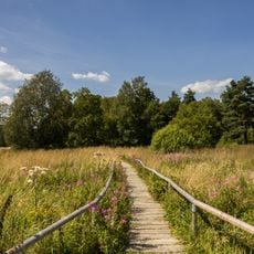 Schopflocher Moor (Torfgrube)