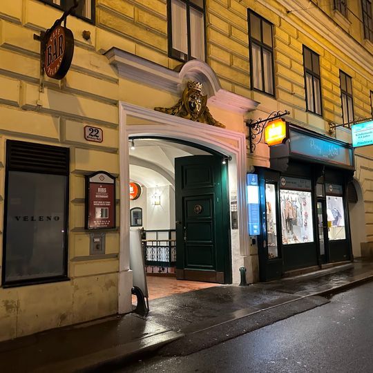 Ribs of Vienna