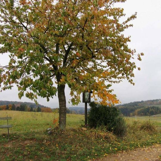 Obrázek u Svébohova vedle polní cesty