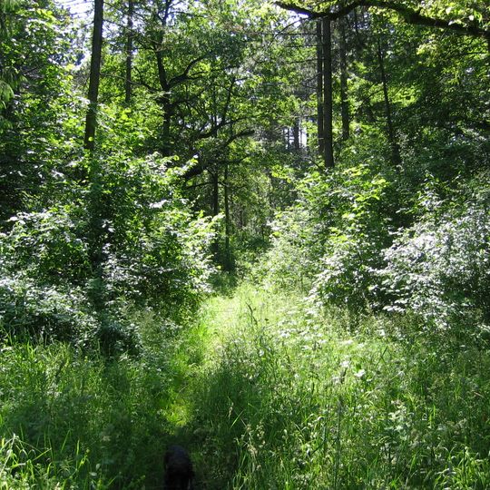 Protected landscape areas in Landkreis Merzig-Wadern