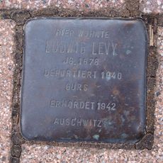 Ludwig Levy