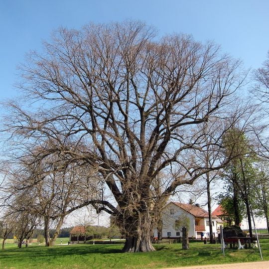 Russenstein Breitenlesau