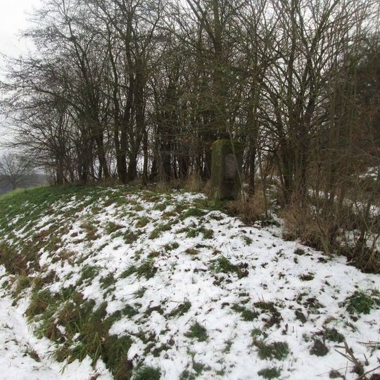 Kříž u Čečovic u rozcestí