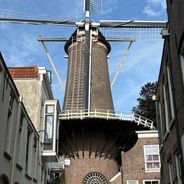De Roode Leeuw