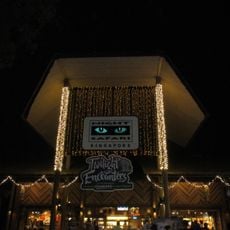 Night Safari