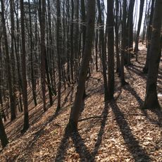 Oppidum von Gründberg