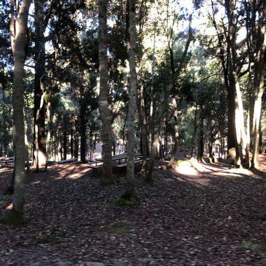 Zona de Acampada de La Tahona