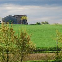 Pavia ili
