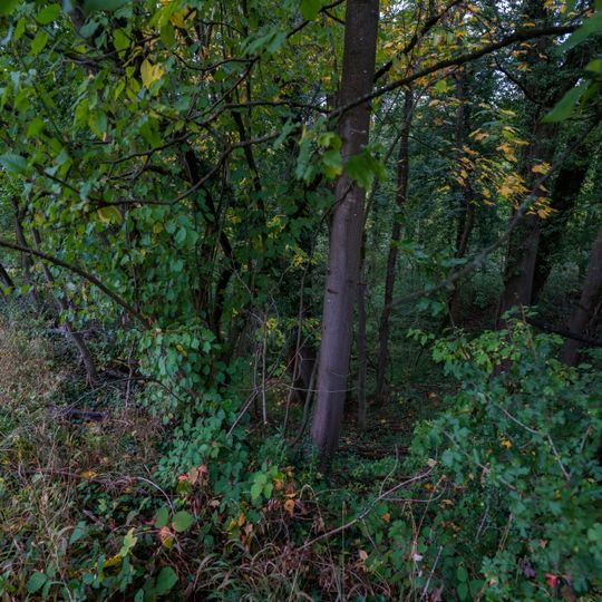 Bachklinge im Gewann Stöckenberg