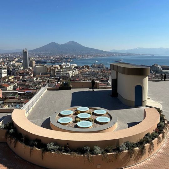 Suor Orsola Benincasa University of Naples