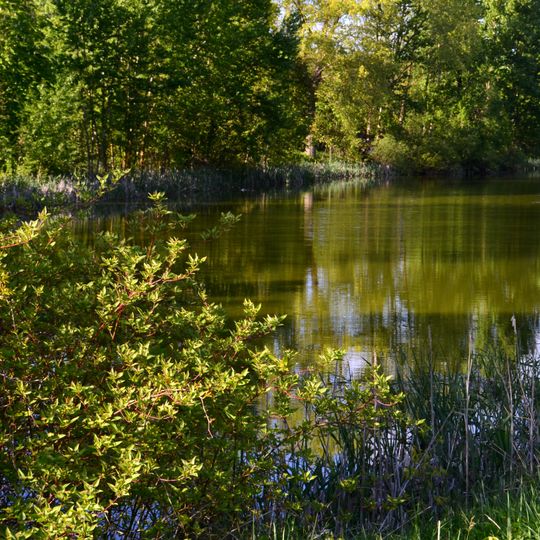 Zabeliškio II tvenkinys