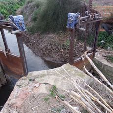 Llengües del Braç de Dalt-del Mig