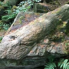 Fossilised tree trunk (Lepidodendron)