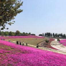 太田市北部運動公園