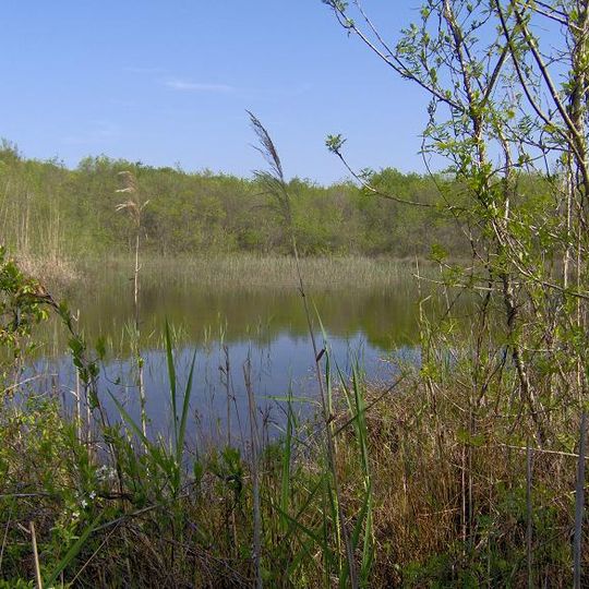 Oasi Bosco di Cornacchiaia