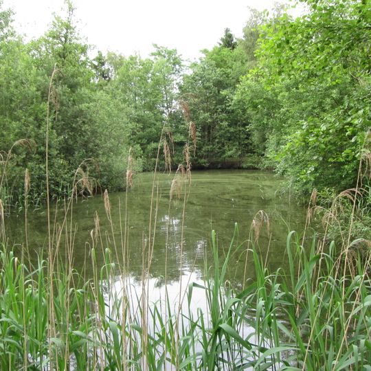 NSG Haverforths Wiesen und Gruetzemachers Kanaelchen