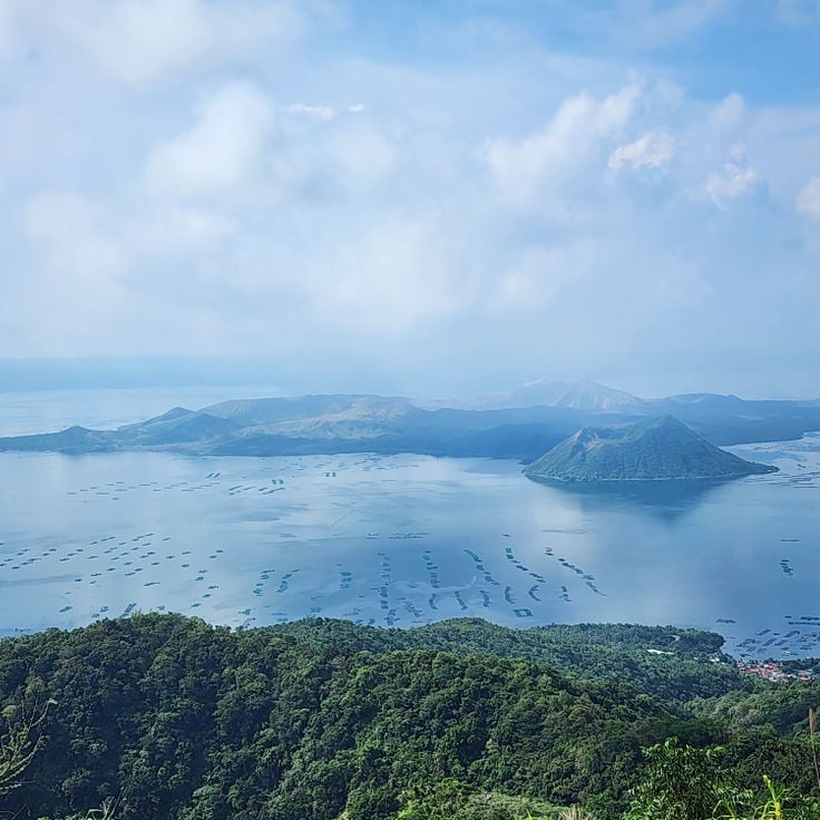 Taal