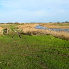 Rye Harbour LNR