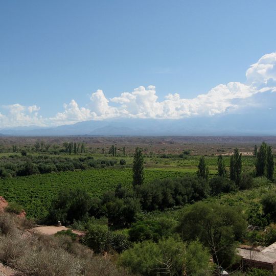 Dipartimento di Coronel Felipe Varela