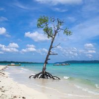 Andaman and Nicobar Islands