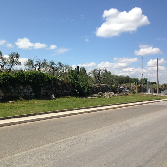 Megalithic Walls of Altamura