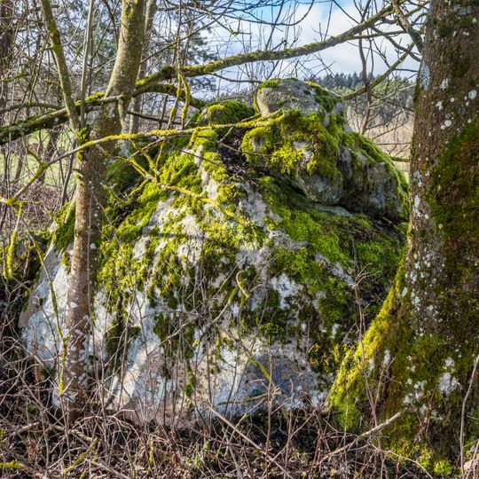 Kallmünzerblock N von Steinbach