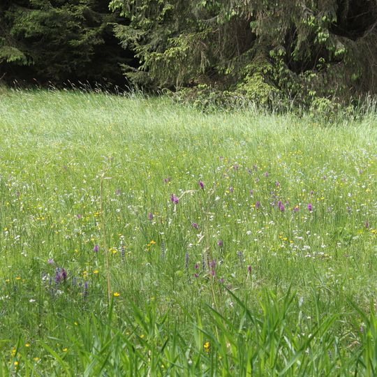 Naturschutzgebiet Nemphetal bei Bottendorf