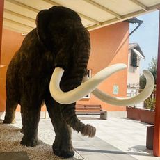 Museo Civico di Storia Naturale "Silvia Zenari"