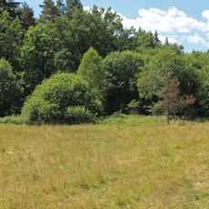 Žofina Huť (natural monument)