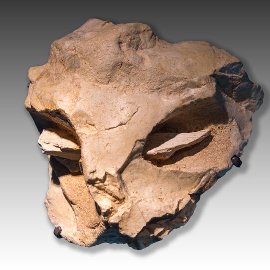 Mask of la Roche-Cotard