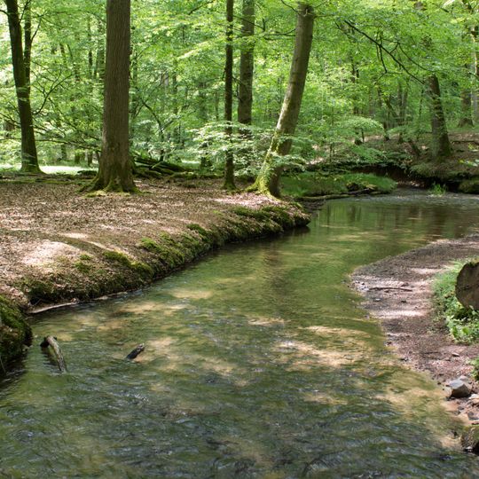 Waldweiher bei Bad Soden-Salmünster