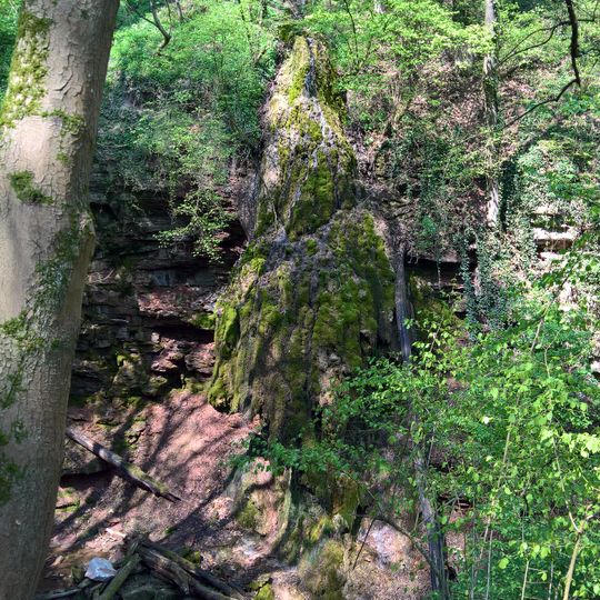 Kalktuffwand im Klingelbachgraben W von Lengfurt