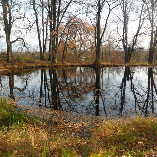 Bohunický kaštieľ, kúria, rybník