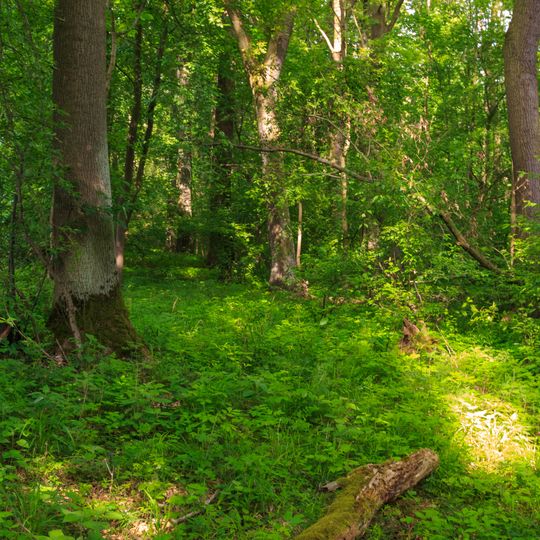 Kovačská bažantnice