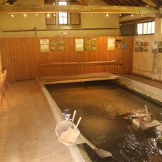 Aquariums du Lavoir