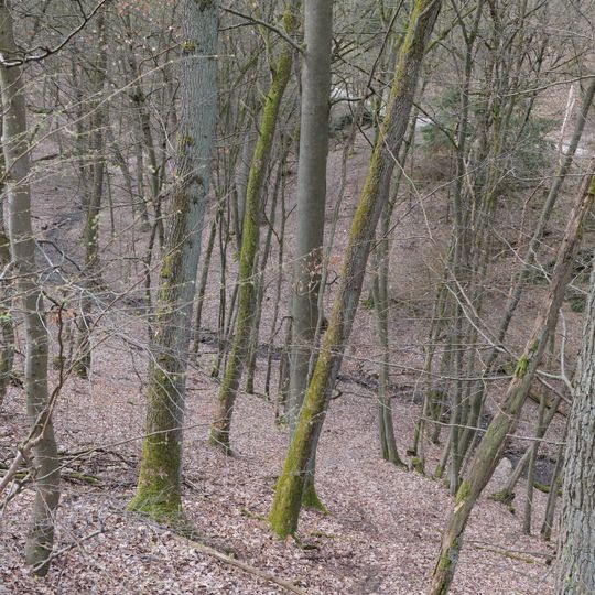 Schwarzloch-Bach Taunus