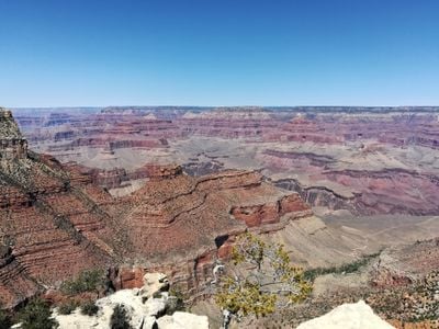 The view 2