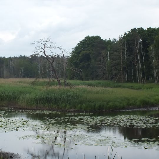Alte Elster und Rohrbornwiesen