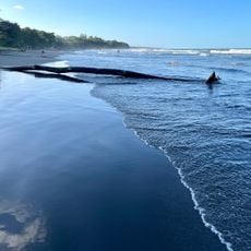 Playa Negra