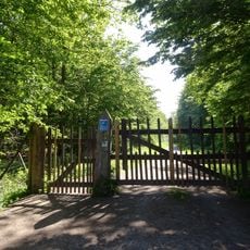 Kranichsteiner Wald mit Hegbachaue,Mörsbacher Grund und Silzwiesen